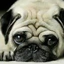 สมาชิกหมายเลข 1195470