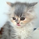 ตาบ๊องตะลอนถ่าย