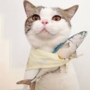 สมาชิกหมายเลข 2463217