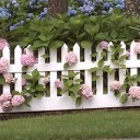 สมาชิกหมายเลข 2441062