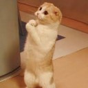 สมาชิกหมายเลข 2864292