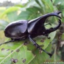 สมาชิกหมายเลข 3301765