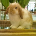 หนึ่งในพันล้าน