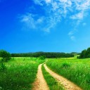 สมาชิกหมายเลข 1522187