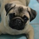 สาวน้อยโซดา