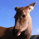 ถุงกระดาษเปื้อนน้ำตา