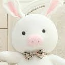 สมาชิกหมายเลข 2865169