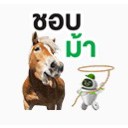ชอบม้า ชอบม้า