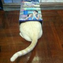 สมาชิกหมายเลข 786878