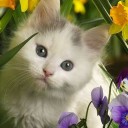 สมาชิกหมายเลข 822946