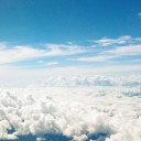 สมาชิกหมายเลข 833299