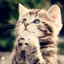 สมาชิกหมายเลข 833769