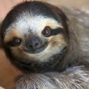 สมาชิกหมายเลข 2781587