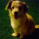 สมาชิกหมายเลข 3302682