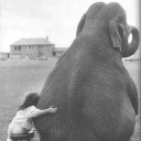 สมาชิกหมายเลข 833831