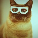 สมาชิกหมายเลข 833865