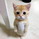 สมาชิกหมายเลข 748869