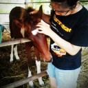 สมาชิกหมายเลข 834142