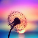 สมาชิกหมายเลข 1652202