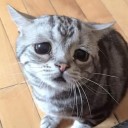 สมาชิกหมายเลข 2464330