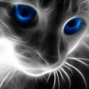 เวสป้าน่ารัก