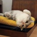 สมาชิกหมายเลข 1230951