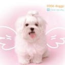 สมาชิกหมายเลข 2465522