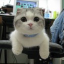 สมาชิกหมายเลข 2761901