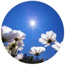 mantaphoto