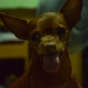 Lucky ปากเหม็น