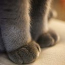 สมาชิกหมายเลข 1599274