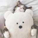 สมาชิกหมายเลข 1231708