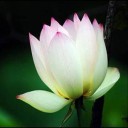 แฟนเก่า