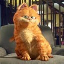 แมวอ้วน ตุ๊ต๊ะ สีส้มส้มส้มส้ม