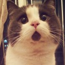 สมาชิกหมายเลข 2256086