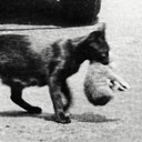 สมาชิกหมายเลข 836066