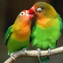 สมาชิกหมายเลข 2156709