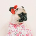 สมาชิกหมายเลข 2467327