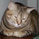 สมาชิกหมายเลข 745248