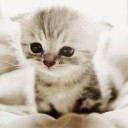 สมาชิกหมายเลข 1938104