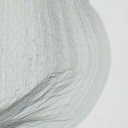 สมาชิกหมายเลข 835913