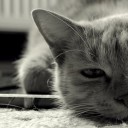 สมาชิกหมายเลข 836339