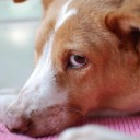 สมาชิกหมายเลข 1007763