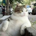 สมาชิกหมายเลข 2739663