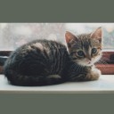 สมาชิกหมายเลข 2869409