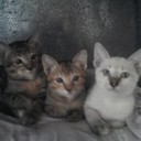 สมาชิกหมายเลข 799807