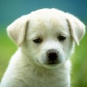 สมาชิกหมายเลข 836818