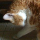 สมาชิกหมายเลข 1655318