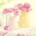 สมาชิกหมายเลข 880355