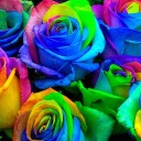 สมาชิกหมายเลข 2467806